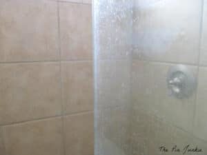 Hard water shower door and tiles